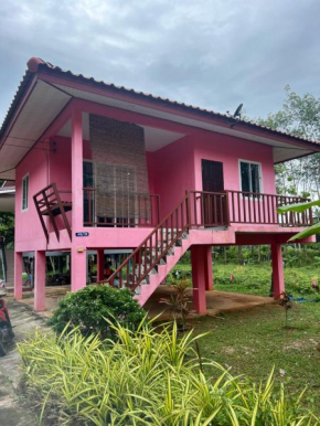Mimi Home 2